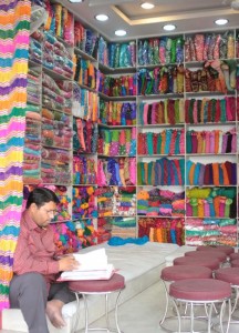 Sarishop in Udaipur