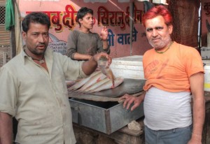 Fischhändler Jaipur