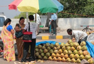 Coconut Water at Chamundi Hill 