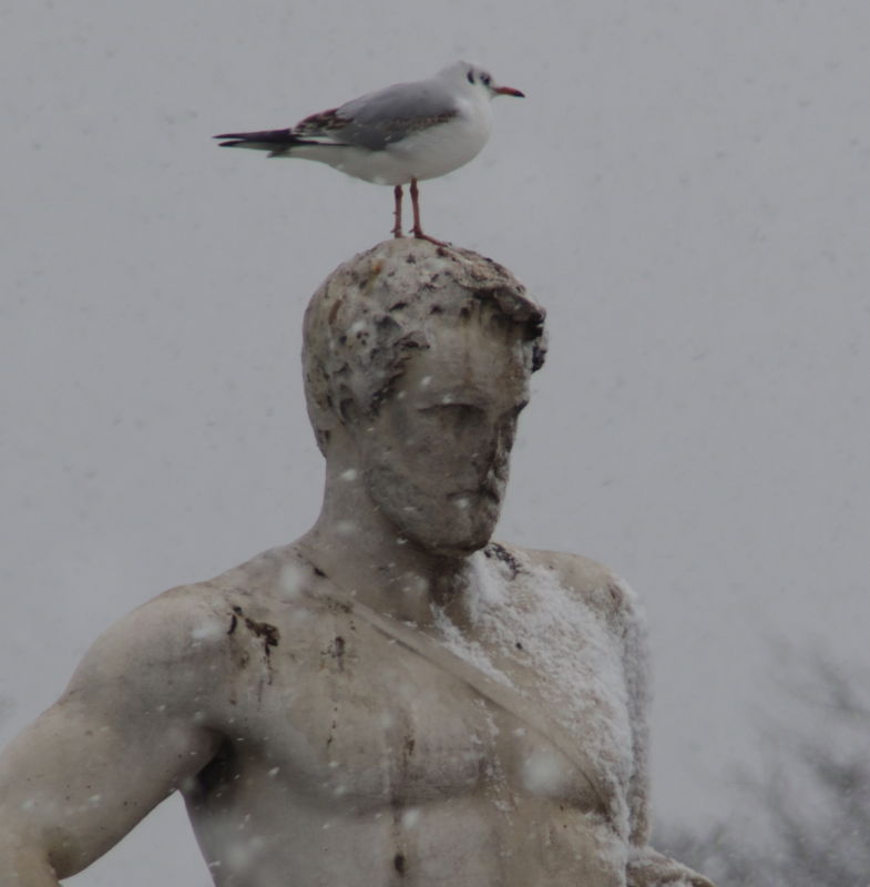 Statue in den Tuilerien im Schnee mit Möwe